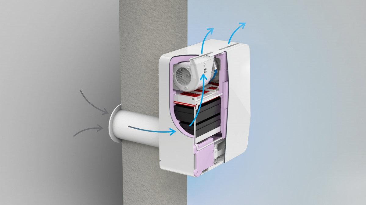 bzzz0038.jpg